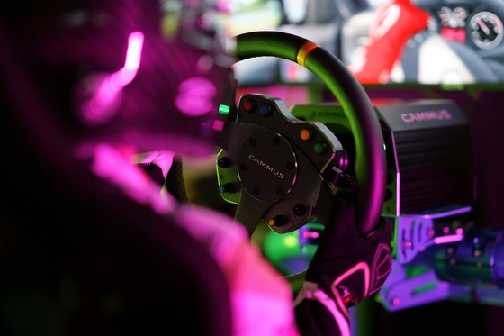 Giochi la cabina di pilotaggio dell'azionamento dell'insieme di Simul di gioco del pedale del simulatore di corsa di automobile di Seat
