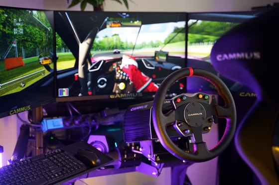 Ruota del manzo di Rig Simulator Racing Game Machine del PC con il pedale
